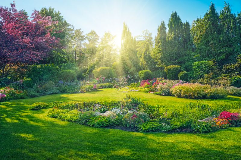 Landscape Designing