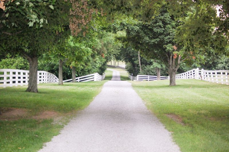 Pathway and Driveway Design