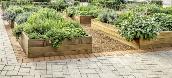 Sustainable Garden Design