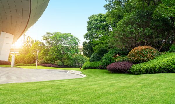 Modern Landscape Design